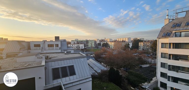 Wohnung - NESTOR Immobilien