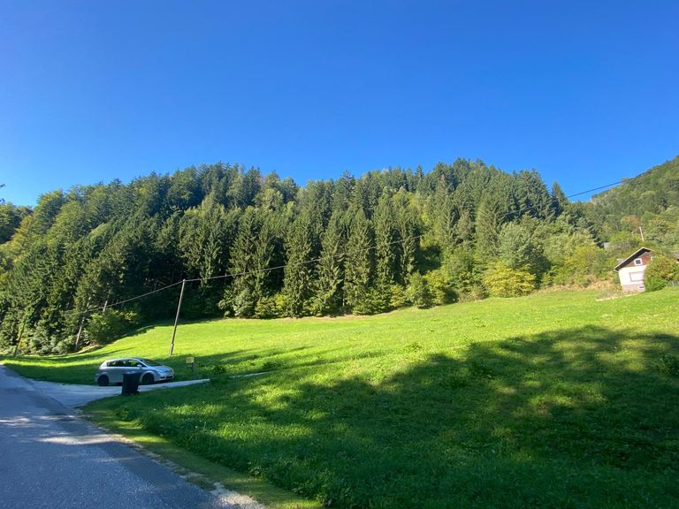 Waldparzelle