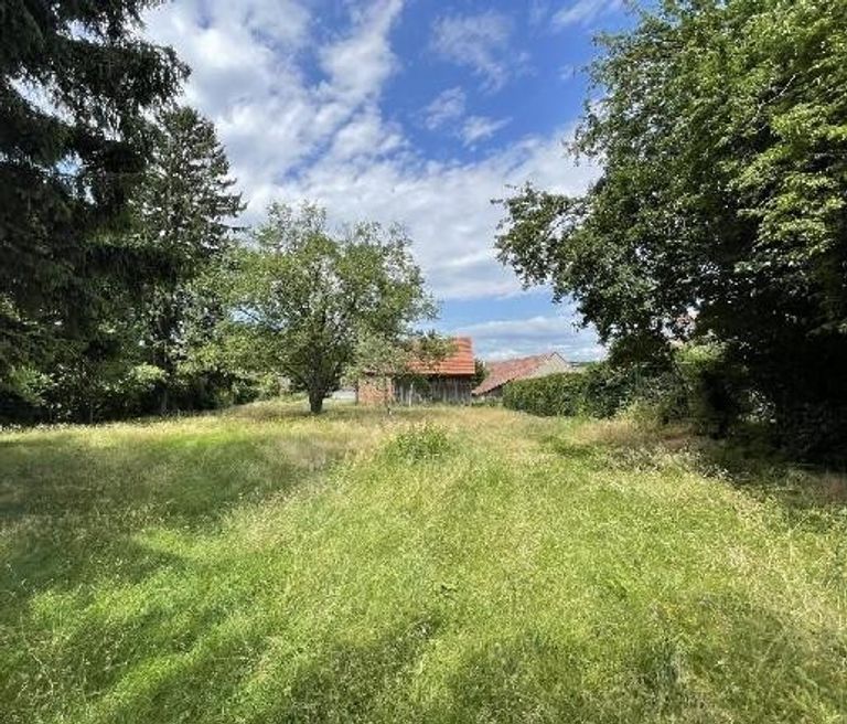 01 Baugrundstück Ollern