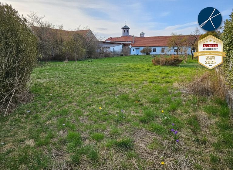 Garten und rückwärtige Ansicht