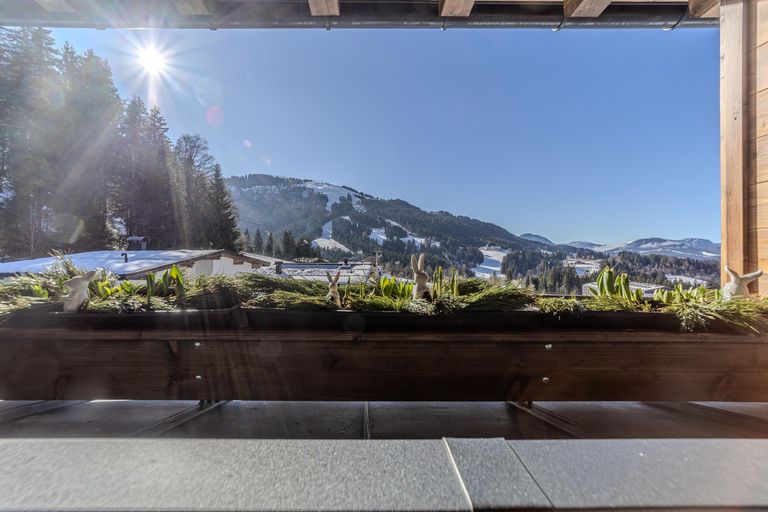 Traumhafter Blick auf den Hartkaiser