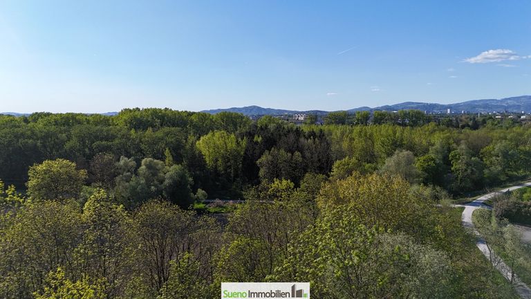 Blick in die Traun-Au hinter dem Haus (Drohnenfoto)