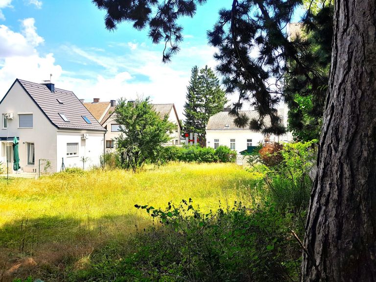 Gartenansicht original