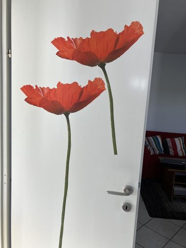 Mohnblumen