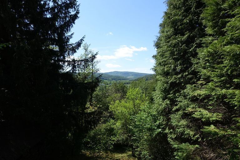 Aussicht vom Haus