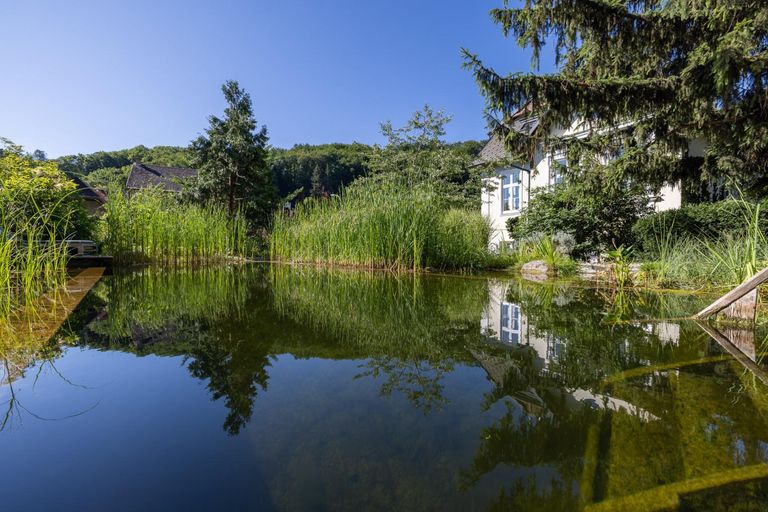 6 Naturschwimmteich