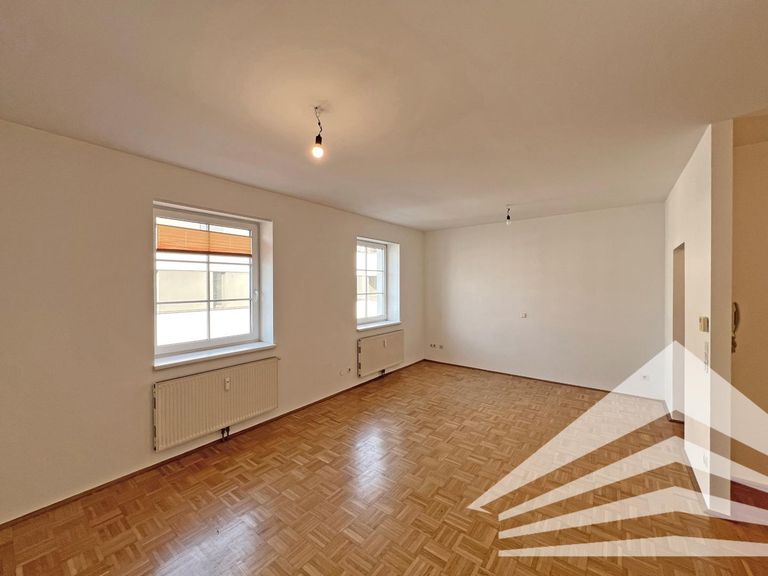 Wohn-/Ess-/Schlafbereich