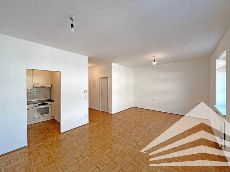 Wohn-/Ess-/Schlafbereich