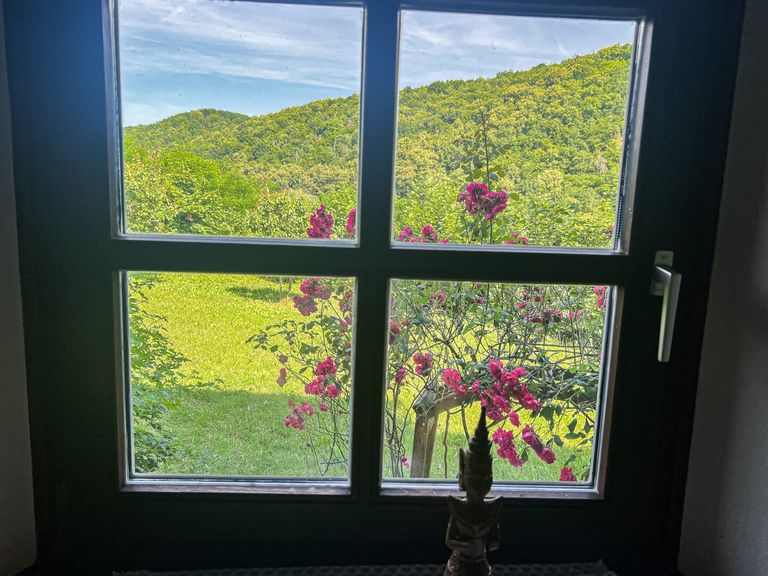 Blick aus dem Fenster - immer ins Grüne