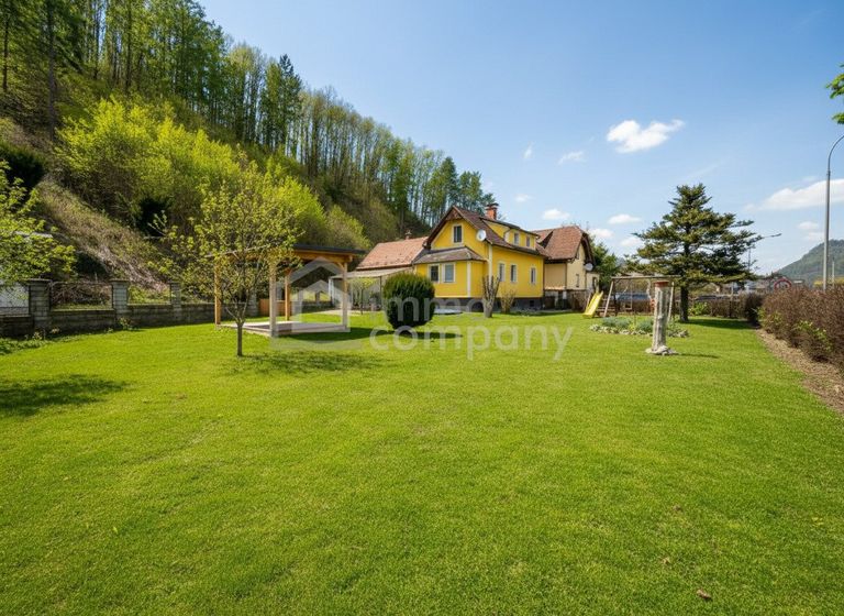 Sommerfoto Garten