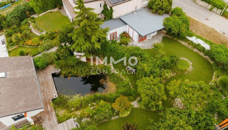 Garten hinter dem Haus_2_Vogelperspektive