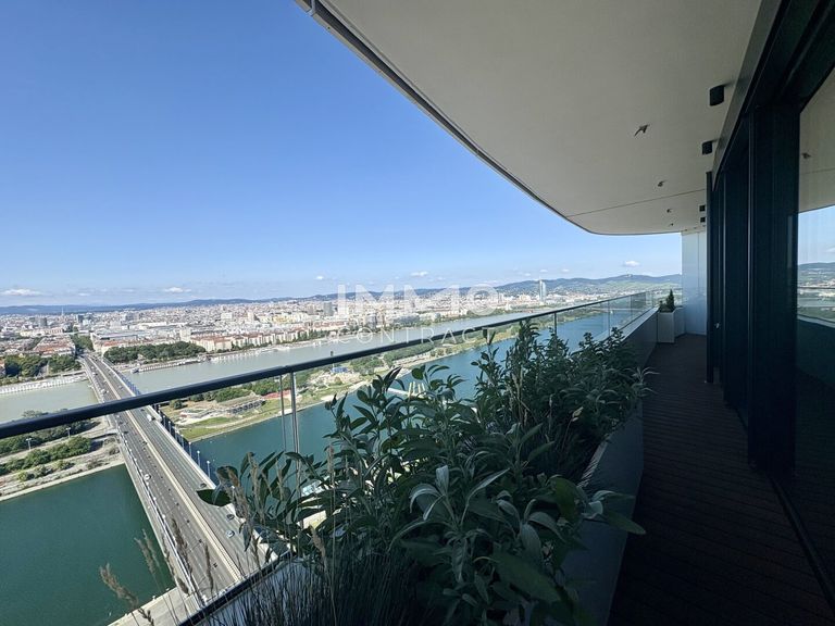 Ausblick Neue Donau aufwärts