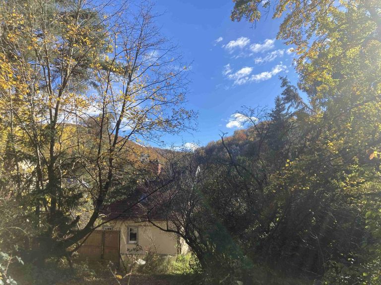 Blick Süden