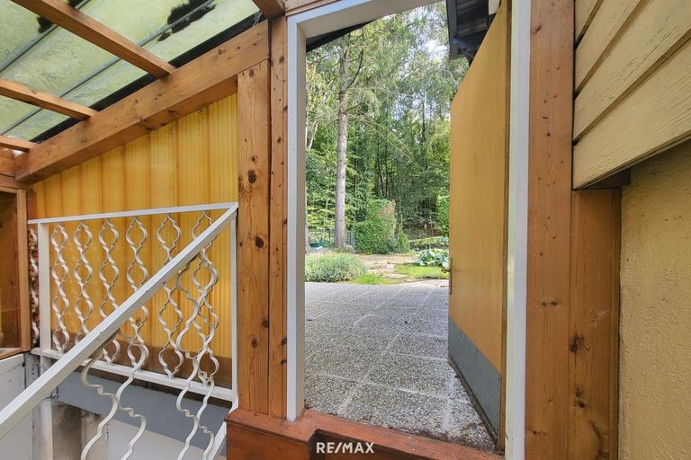 11 In den Wald gehen