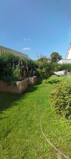 Garten 2