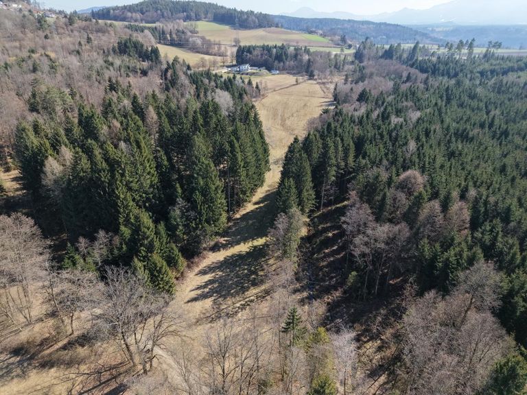 Vogelperspektive - riesige Wiesenfläche