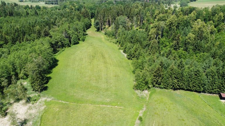 Wiesenflächen