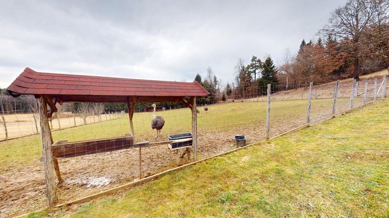 großes Gehege/Weide