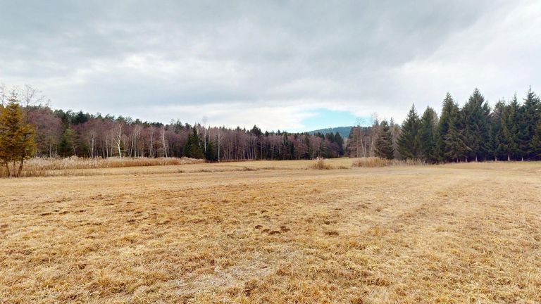 erweiterte Wiesen-/Waldfläche zusätzlich möglich