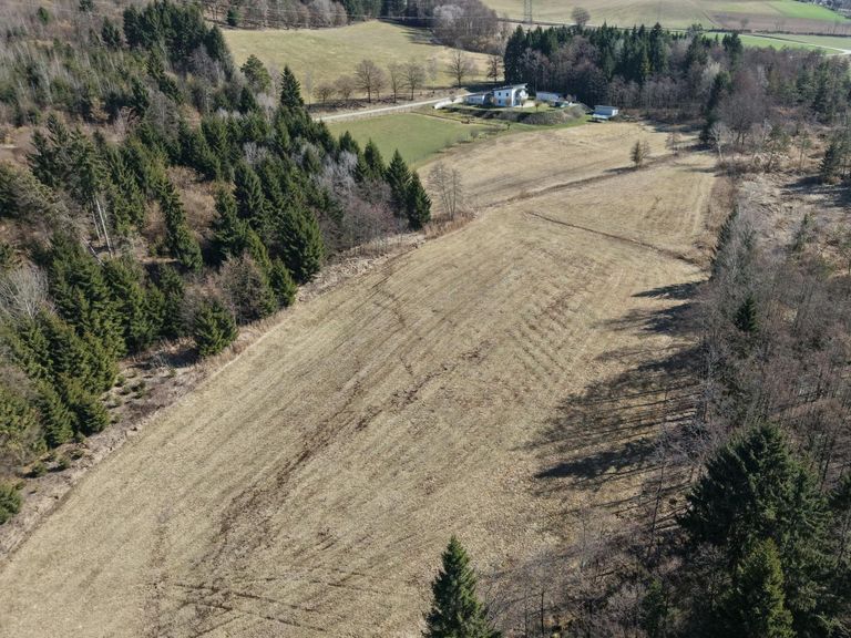 Vogelperspektive - riesige Wiesenfläche