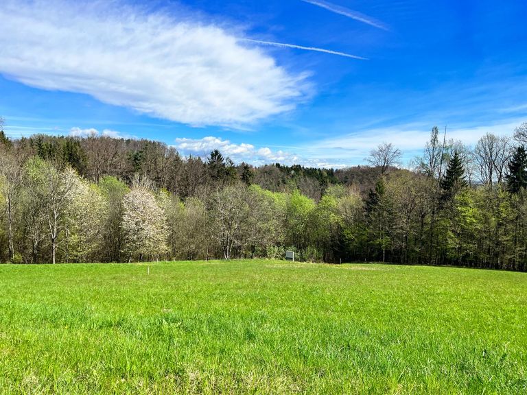 Sonniges Grundstück