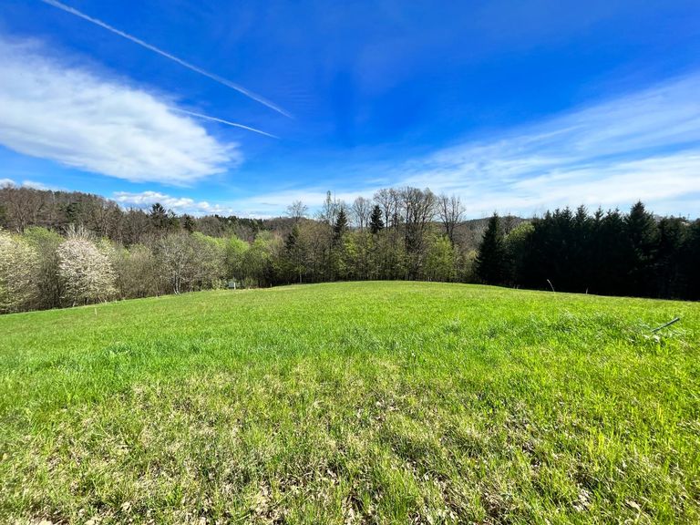 Sonniges Grundstück