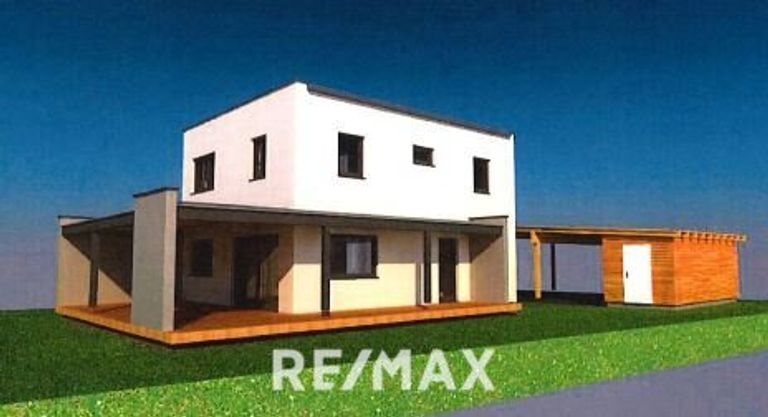 Variante mit Pultdach