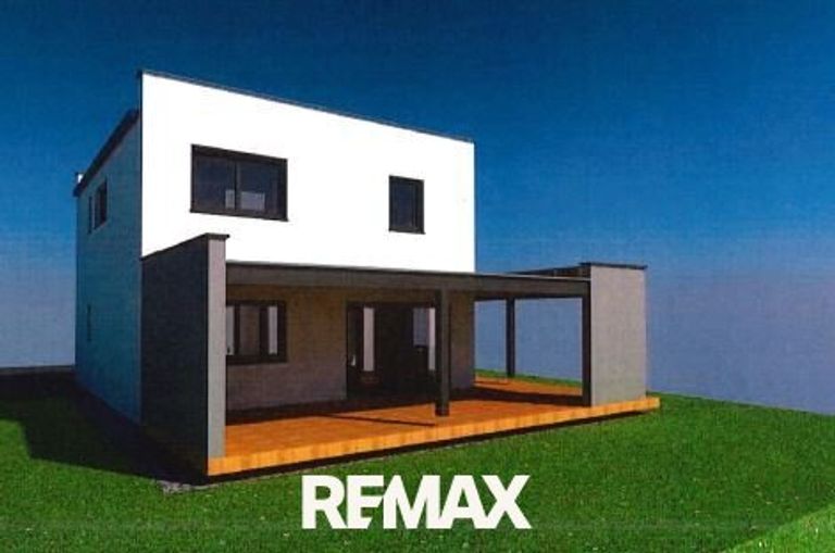 Variante mit Pultdach 2