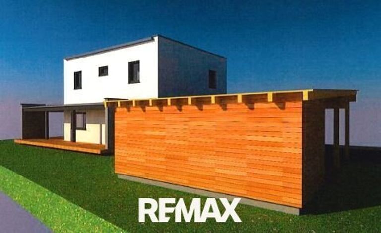 Variante mit Pultdach