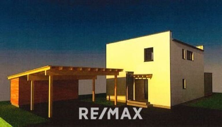 Variante mit Pultdach