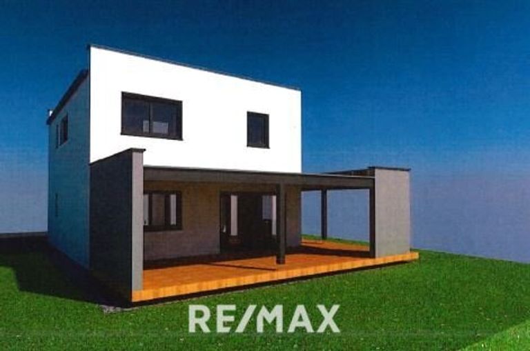 Variante mit Pultdach 2