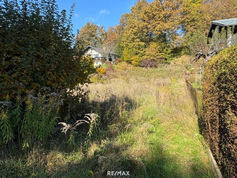 Zufahrt/Einfahrt Grundstück