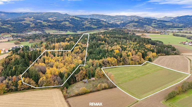 Vogelperspektive Acker-/Waldflächen