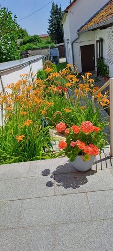 Blick auf die Nebengebäude