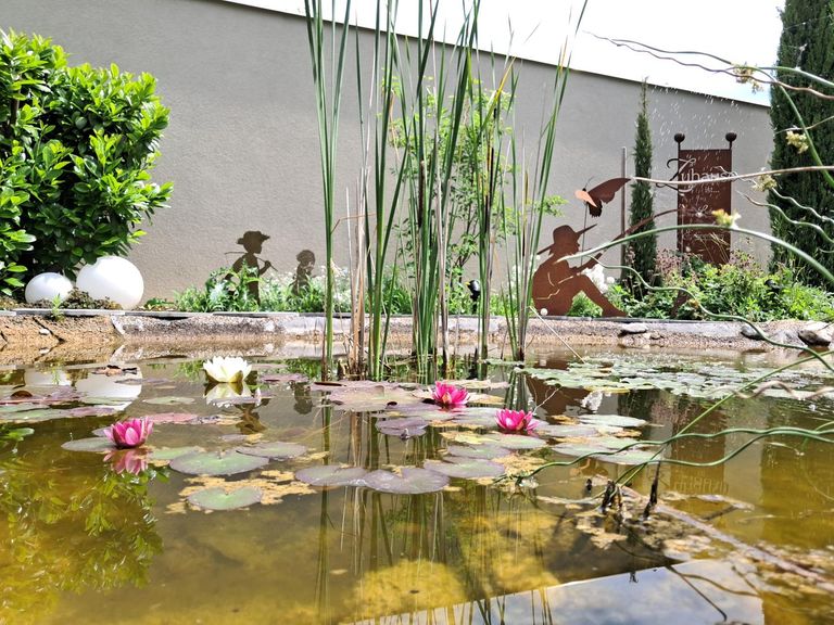 Gartenteich 1