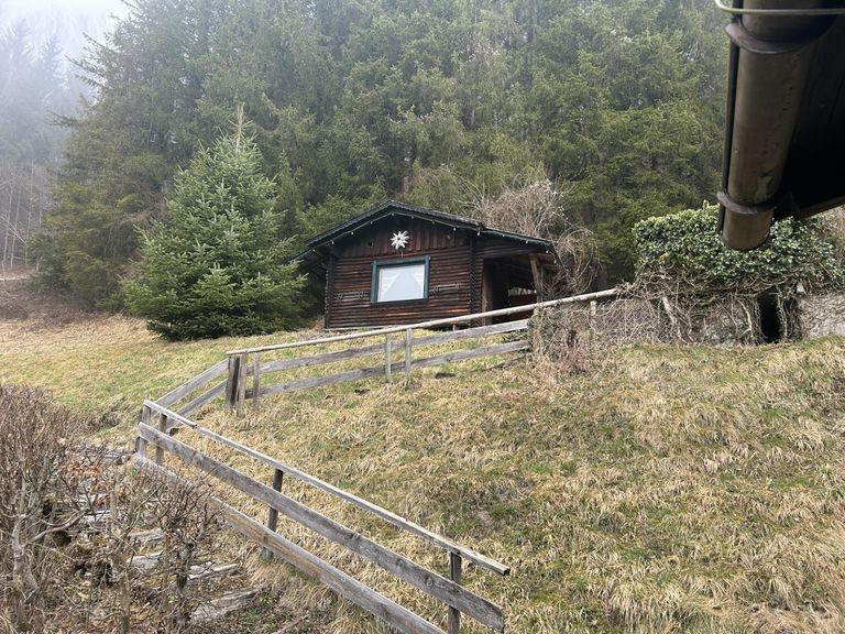 gleich dahinter die gemütliche Waldhütte