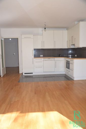 Küche/Blick Vorraum